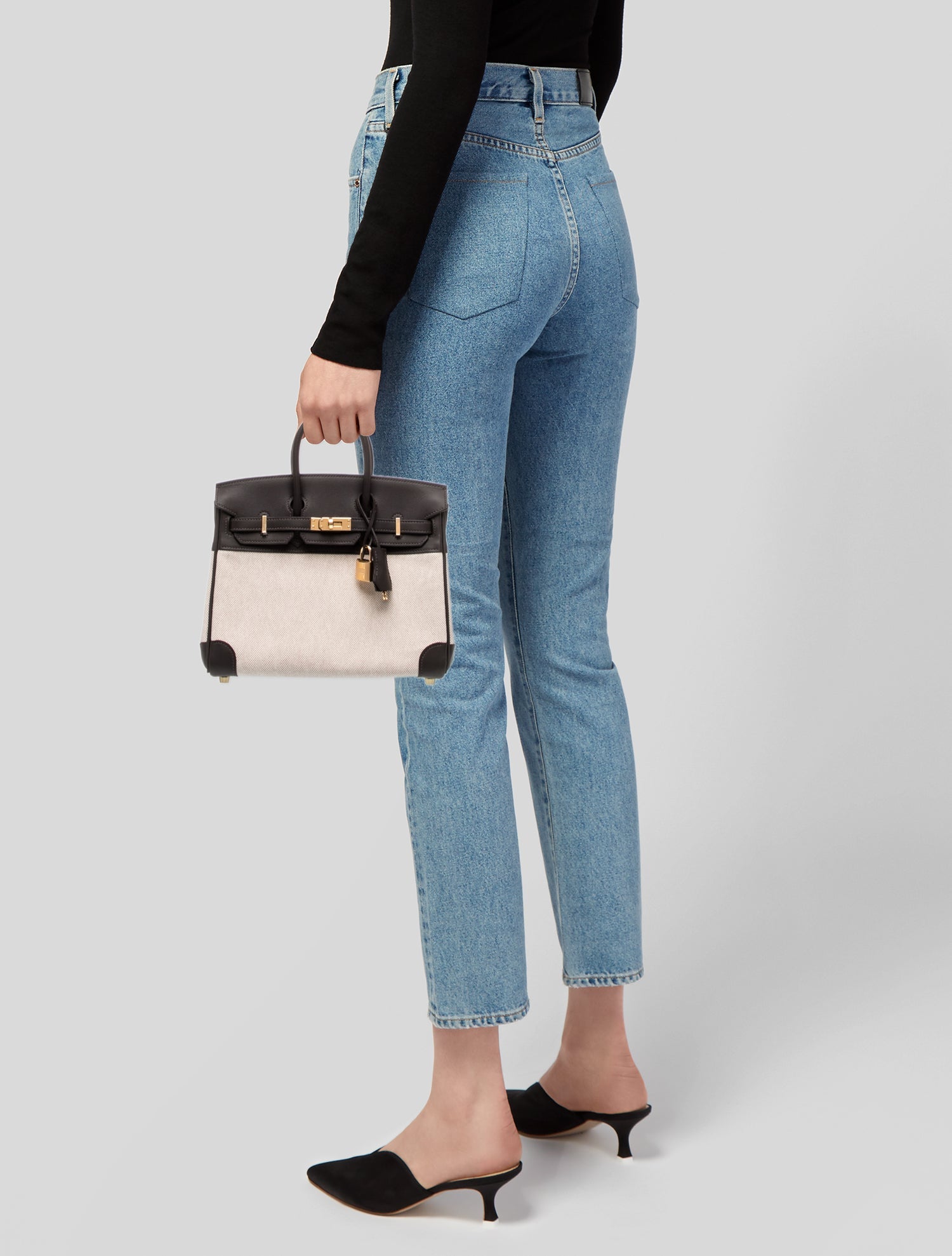 Hermès 2025 Toile H & Swift Birkin 25
