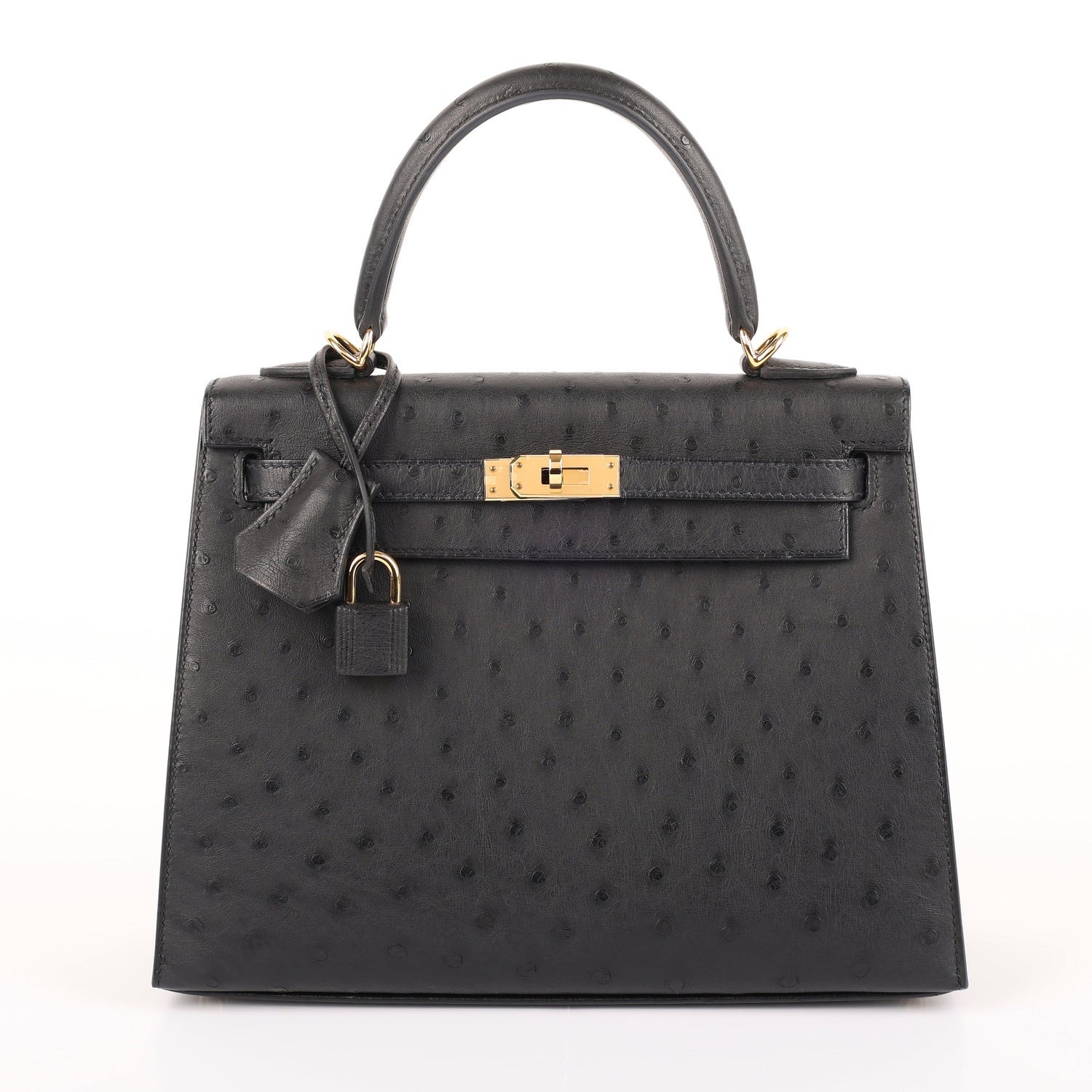 Hermès Ostrich Sellier Kelly 25