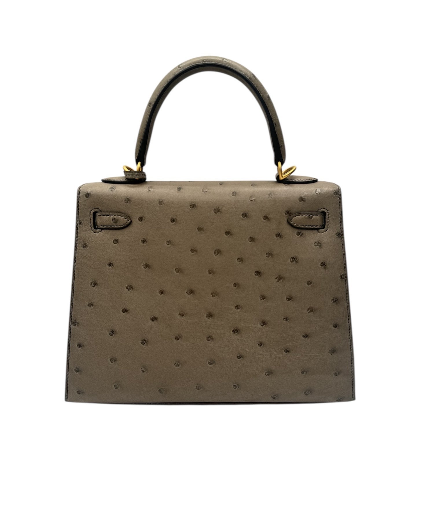 Hermès Ostrich Kelly 25