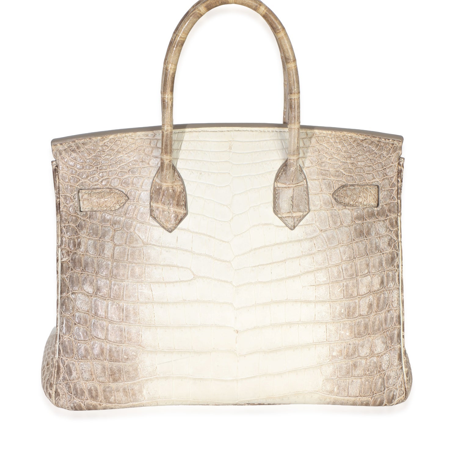 Hermès Matte Niloticus Crocodile Birkin 30