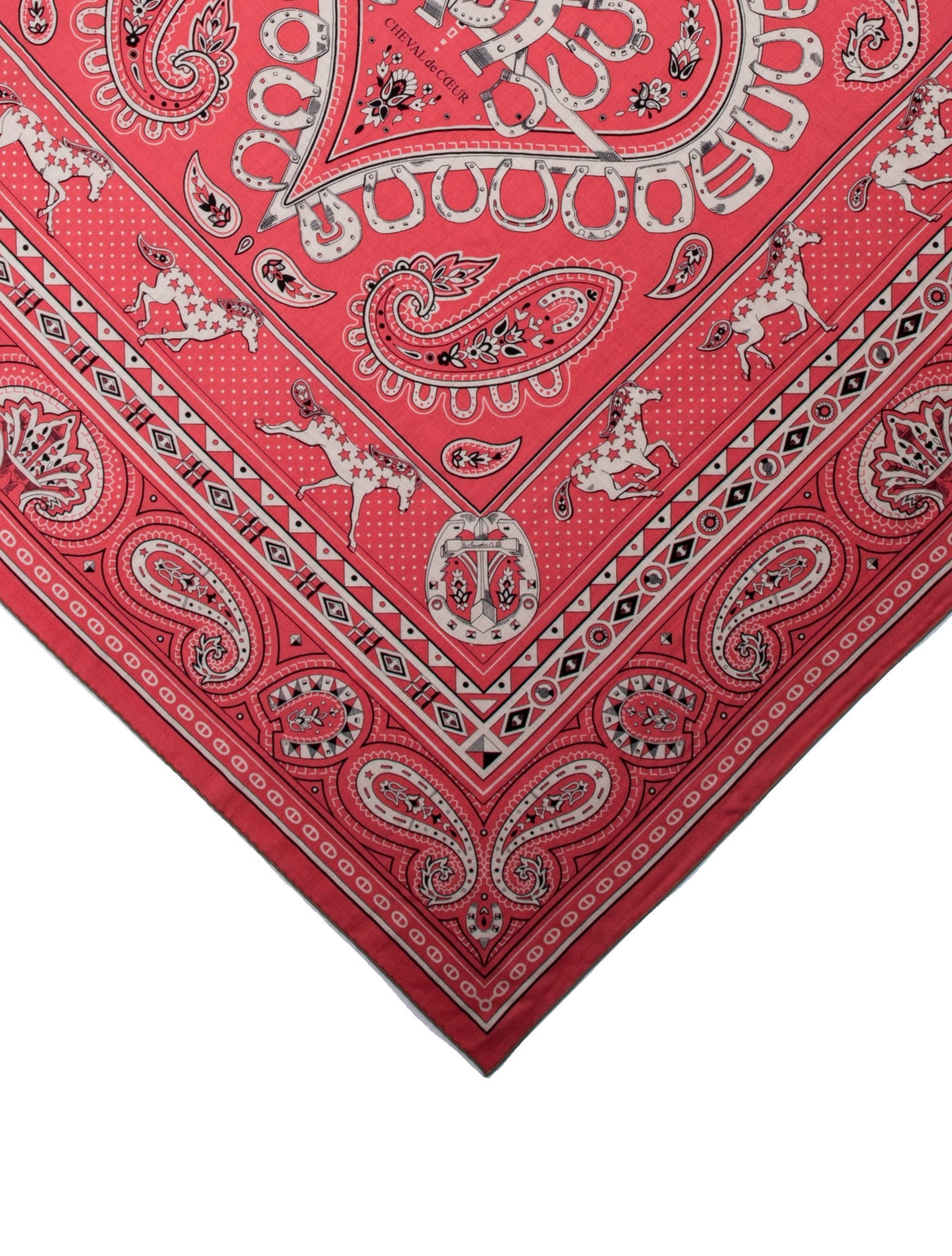 Hermès Cashmere Shawl