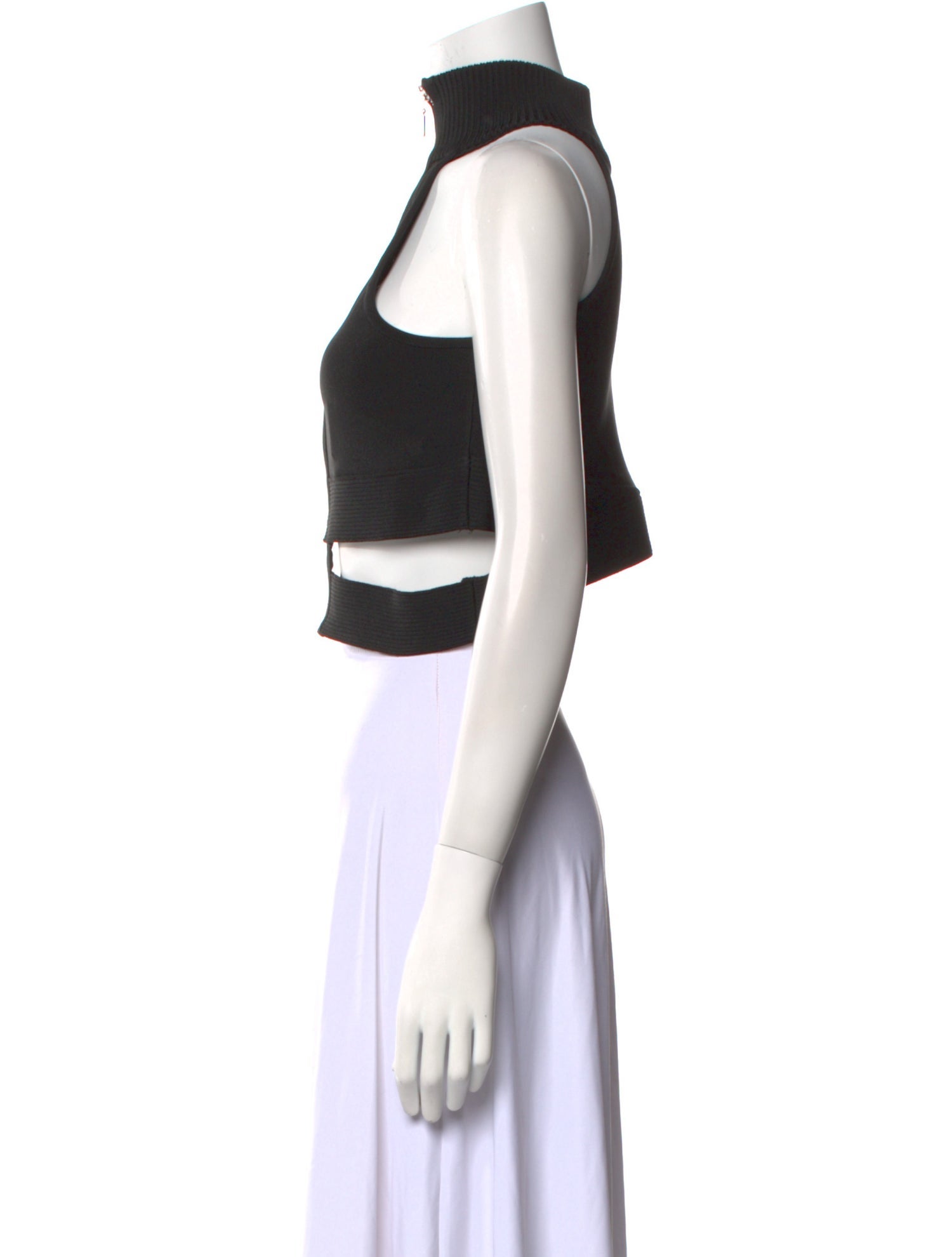 Herve Leger Mock Neck Sleeveless Crop Top