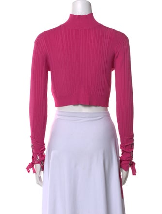 Herve Leger Mock Neck Long Sleeve Crop Top