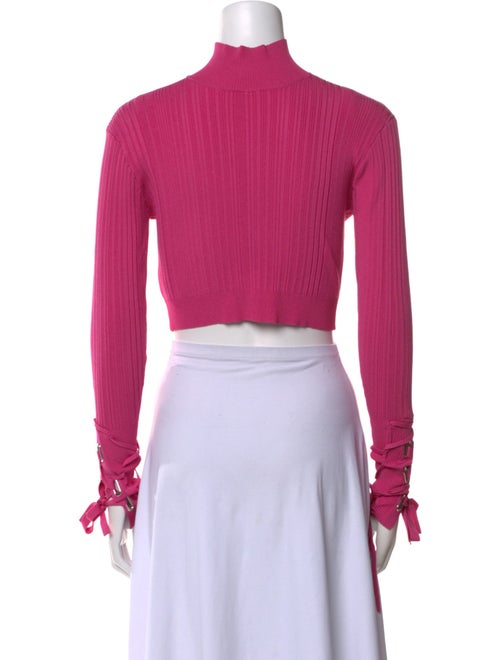 Herve Leger Mock Neck Long Sleeve Crop Top