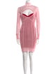 Herve Leger Turtleneck Mini Dress