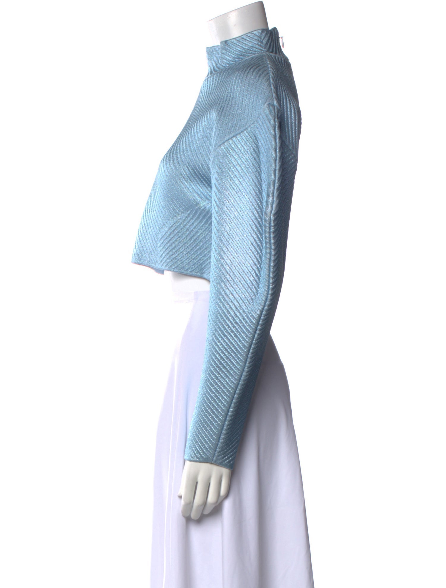 Herve Leger Mock Neck Long Sleeve Crop Top