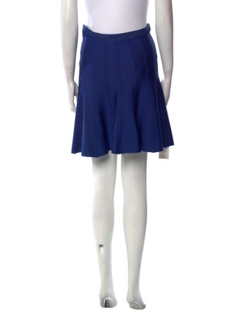 Herve Leger Mini Skirt