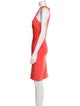 Herve Leger Halterneck Mini Dress