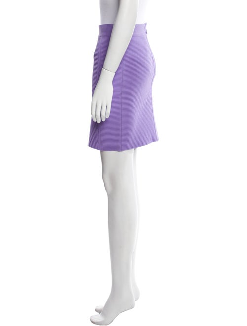 Herve Leger Mini Skirt