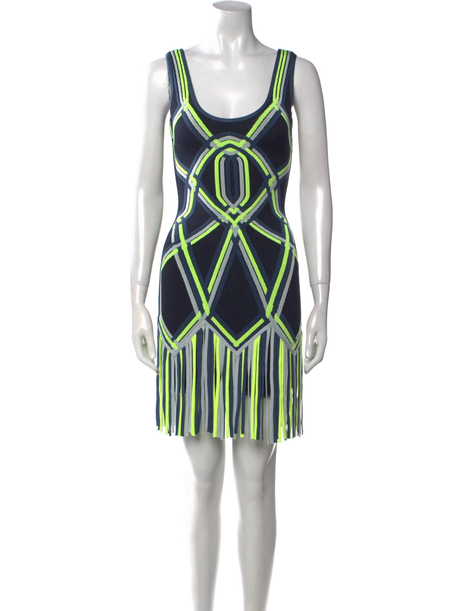 Herve Leger Printed Mini Dress