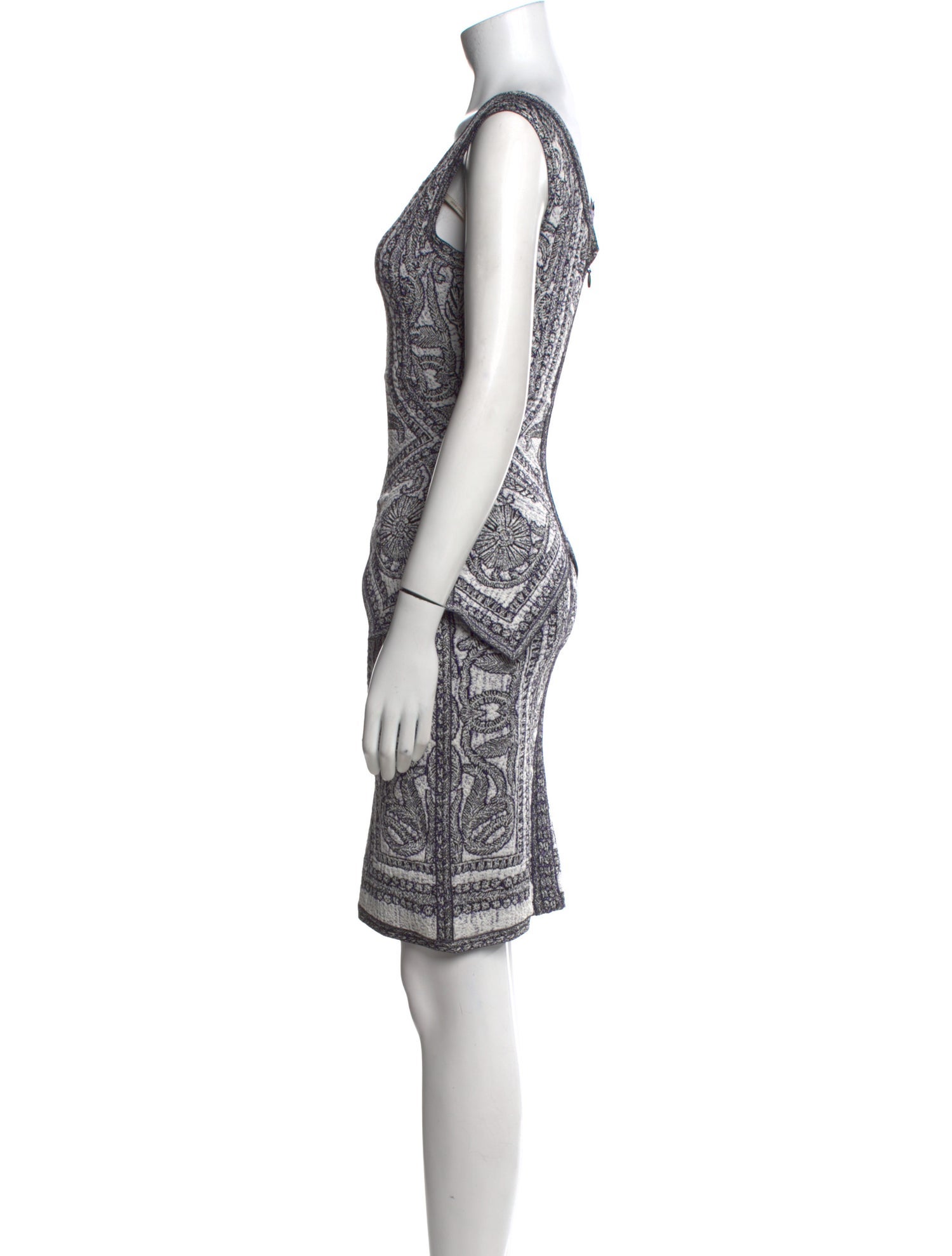 Herve Leger Printed Mini Dress