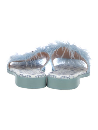 Hill House Home Canvas Floral Print Slides