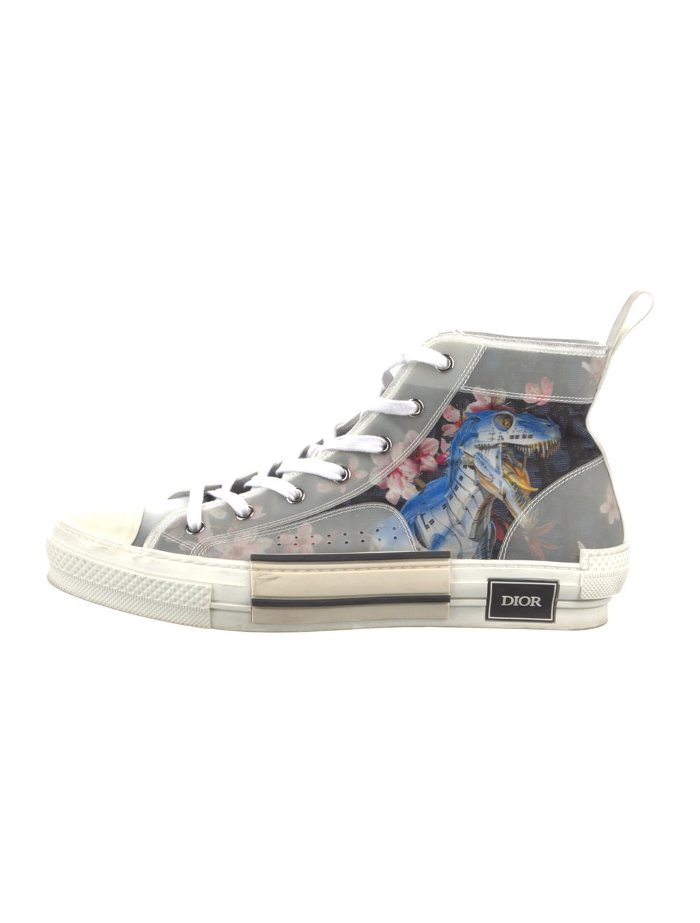 dior b23 dinosaur