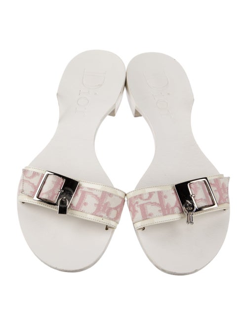 Christian Dior Vintage 2003 Slides