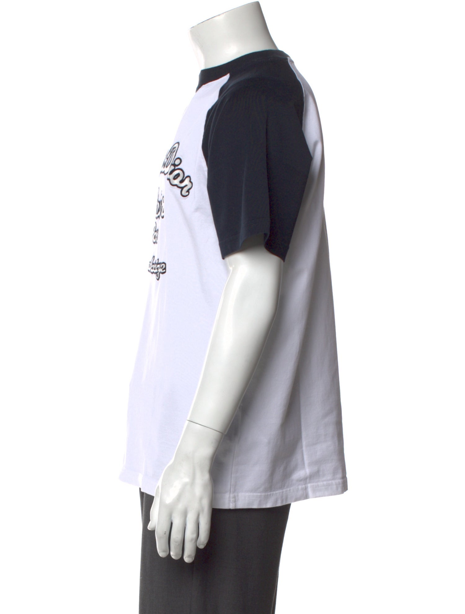 DIOR MEN 2022 Signature Logo T-Shirt