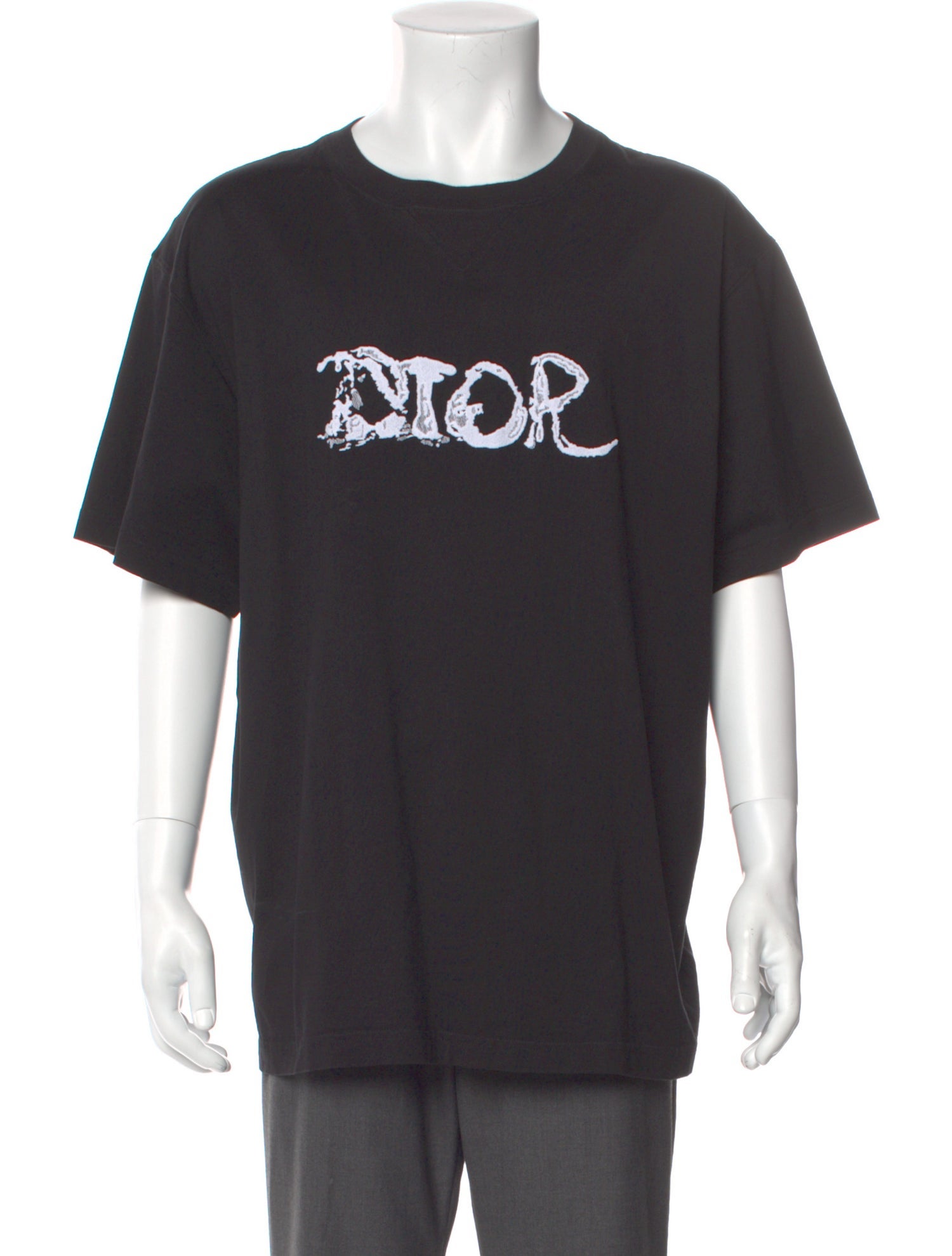 DIOR x Peter Doig 2021 Signature Logo T-Shirt