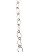 Ippolita Long Hammered Prosper Chain Necklace