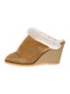 Isabel Marant Suede Fur Trim Mules