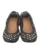 Isabel Marant Leather Printed Ballet Flats