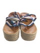 Isabel Marant Raffia Printed Espadrilles