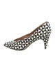 Isabel Marant Canvas Printed Pumps