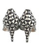 Isabel Marant Canvas Printed Pumps