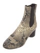Isabel Marant Leather Animal Print Chelsea Boots