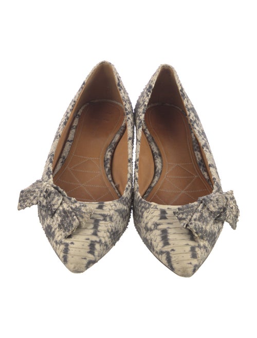 Isabel Marant Embossed Leather Printed Flats