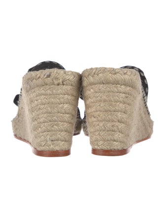 Isabel Marant Suede Espadrilles