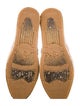Isabel Marant Canvas Printed Espadrilles