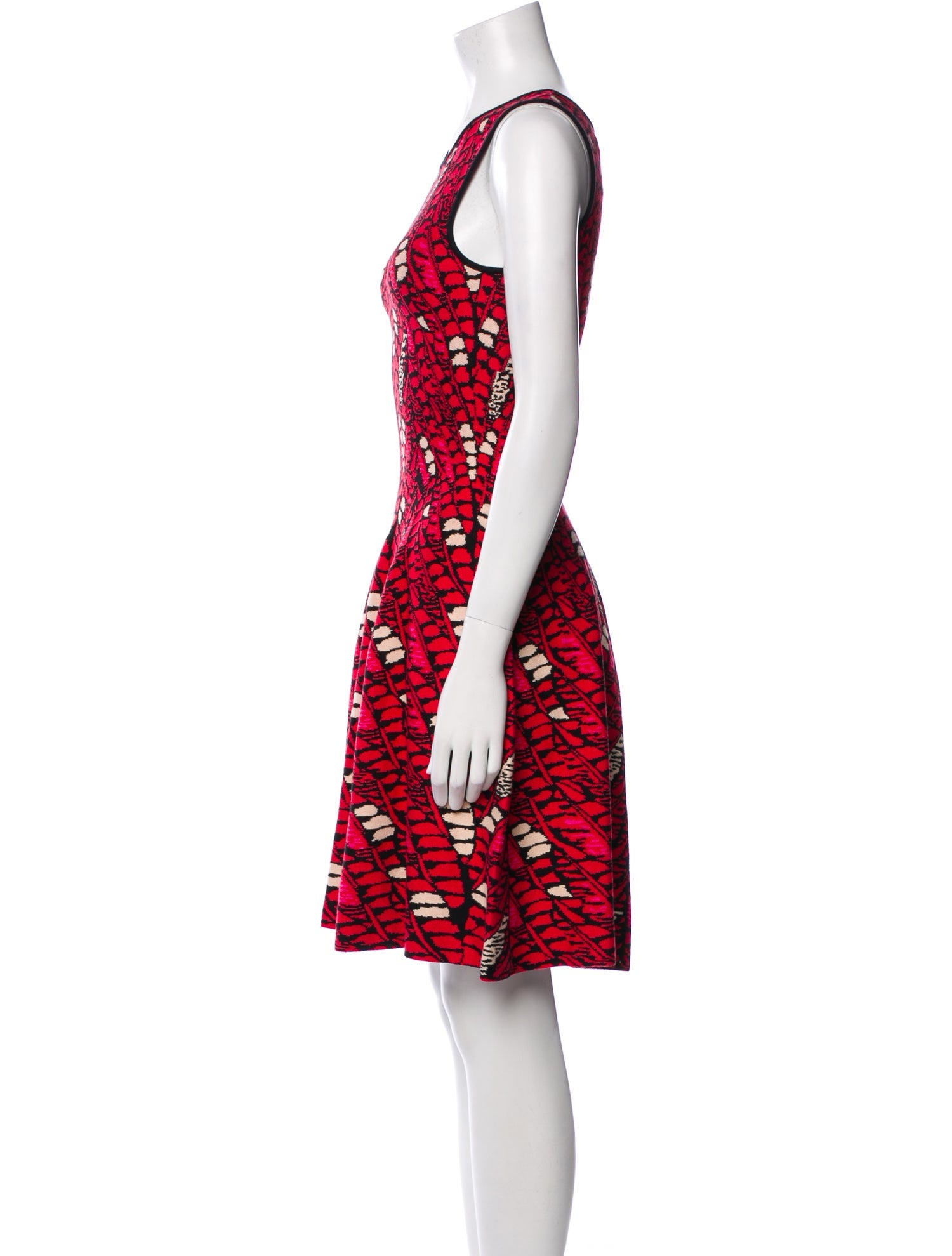 Issa Printed Knee-Length Dress