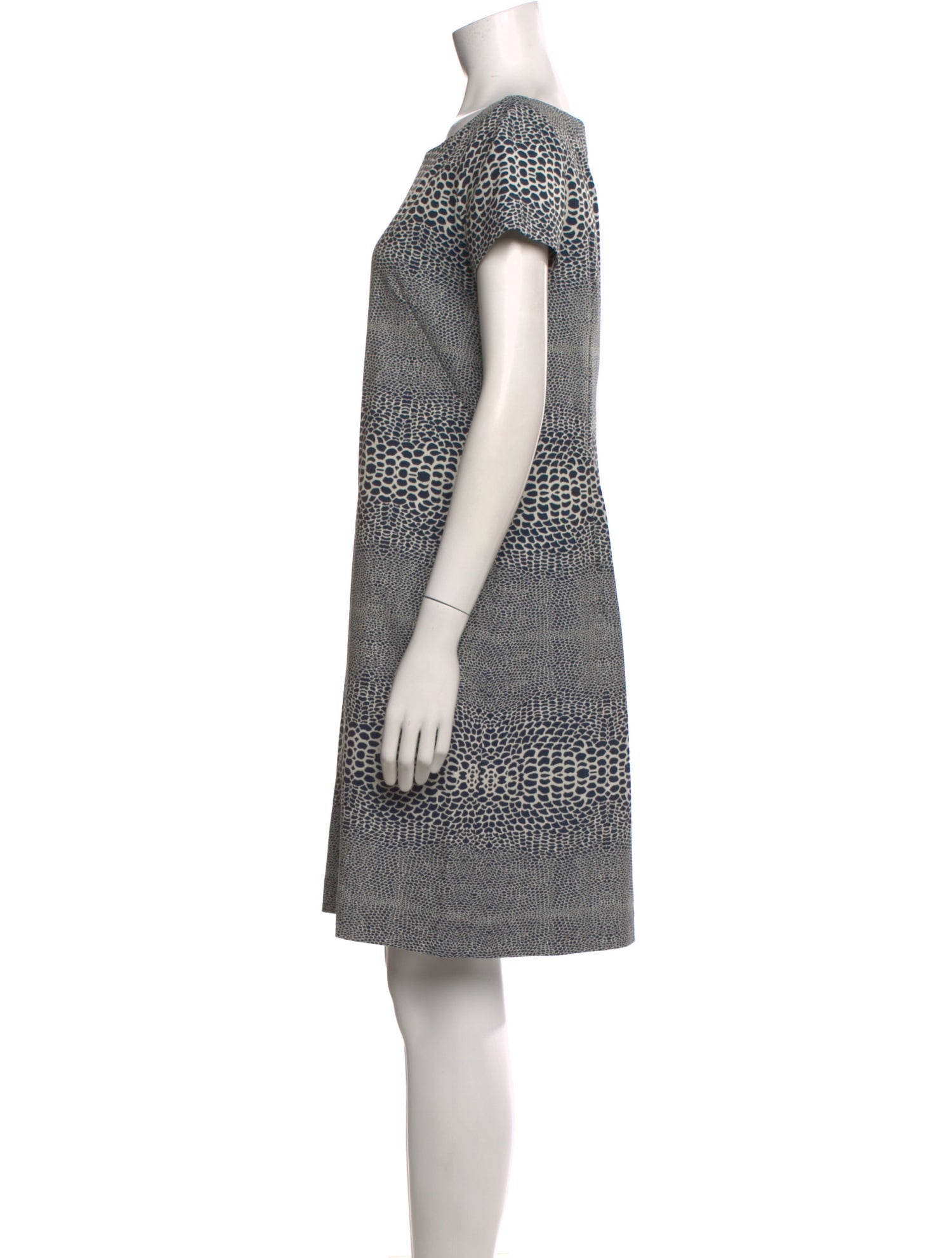 Issa Printed Mini Dress