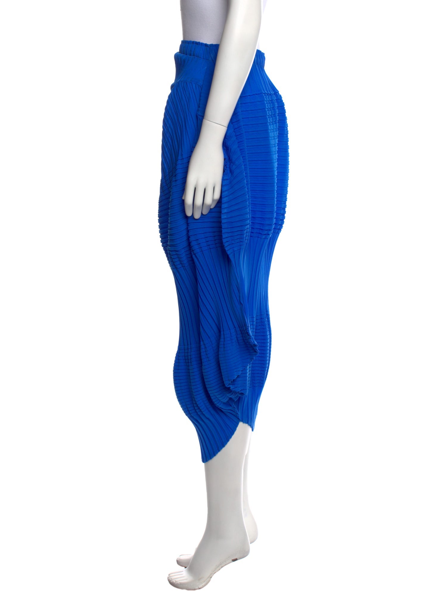 Issey Miyake 2024 Midi Length Skirt