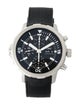 IWC Aquatimer Watch