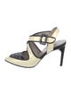 Jason Wu Patent Leather T-Strap Pumps