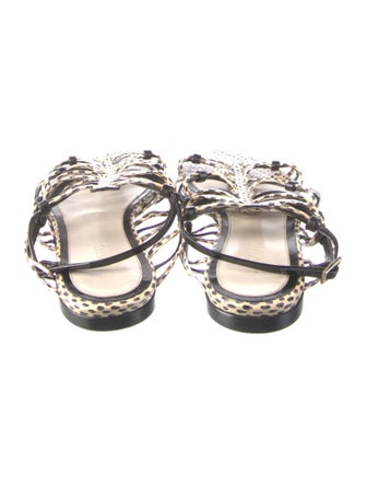 Jason Wu Snakeskin Animal Print Gladiator Sandals