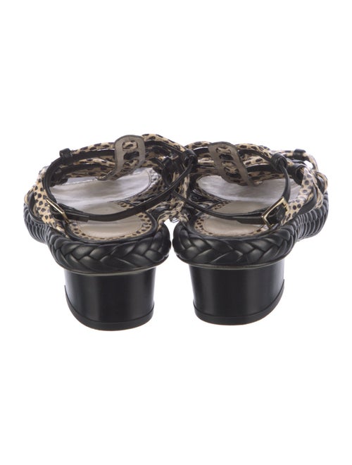 Jason Wu Leather Animal Print Gladiator Sandals