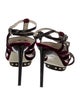 Jason Wu Velvet Gladiator Sandals