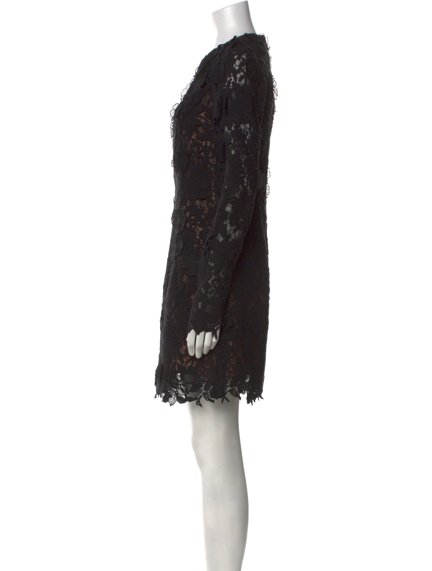 Jason Wu Lace Pattern Mini Dress