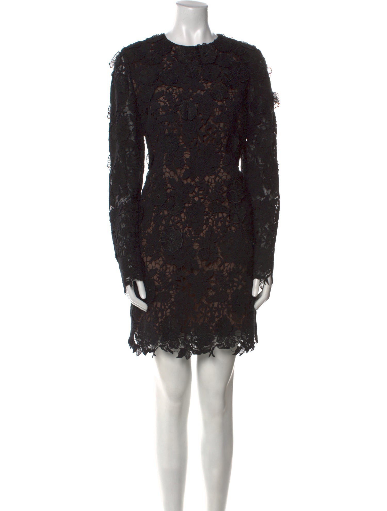 Jason Wu Lace Pattern Mini Dress