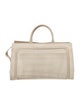 Jason Wu Suede Top Handle Bag