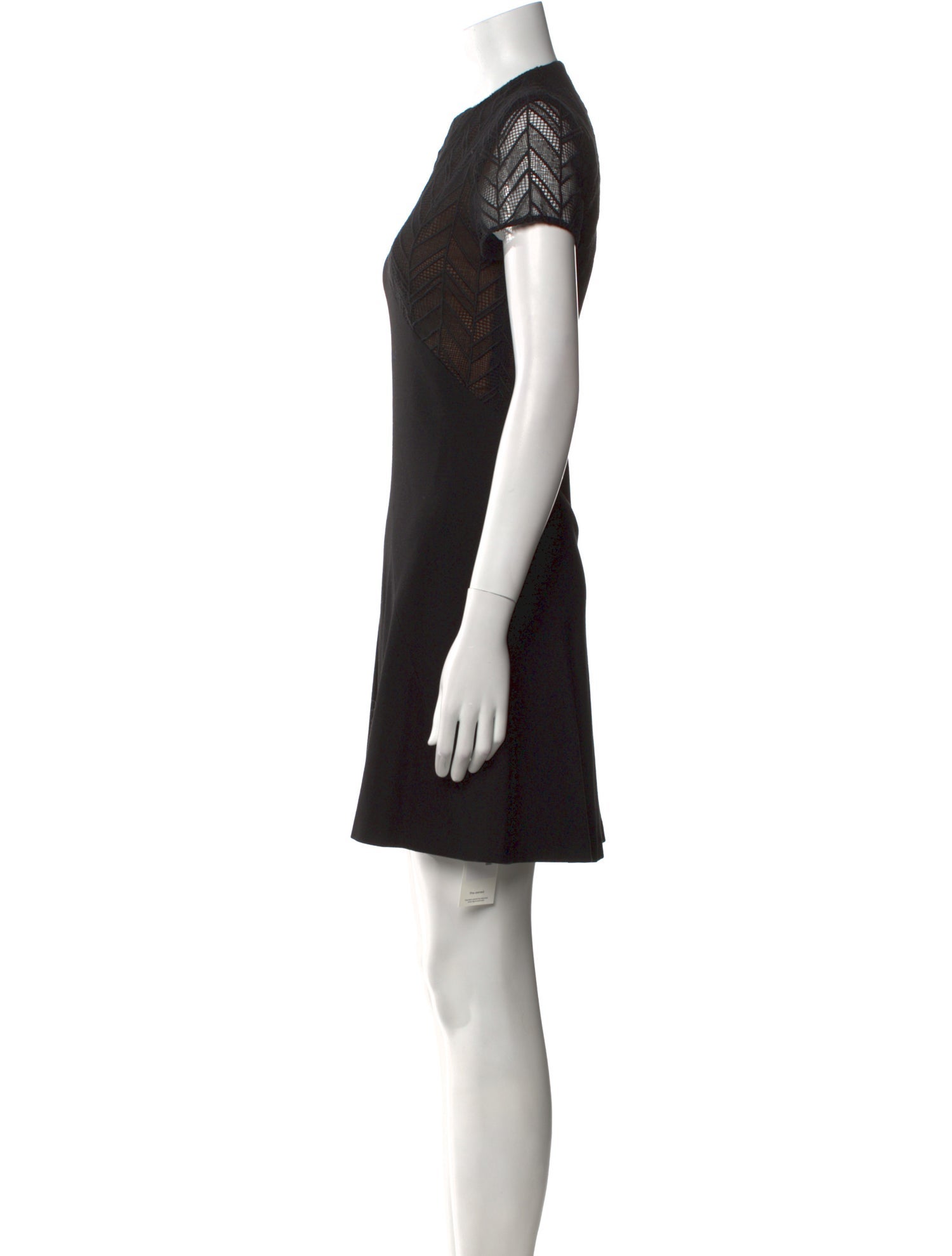 Jason Wu Lace Pattern Mini Dress