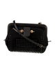 Jason Wu Ponyhair Crossbody Bag