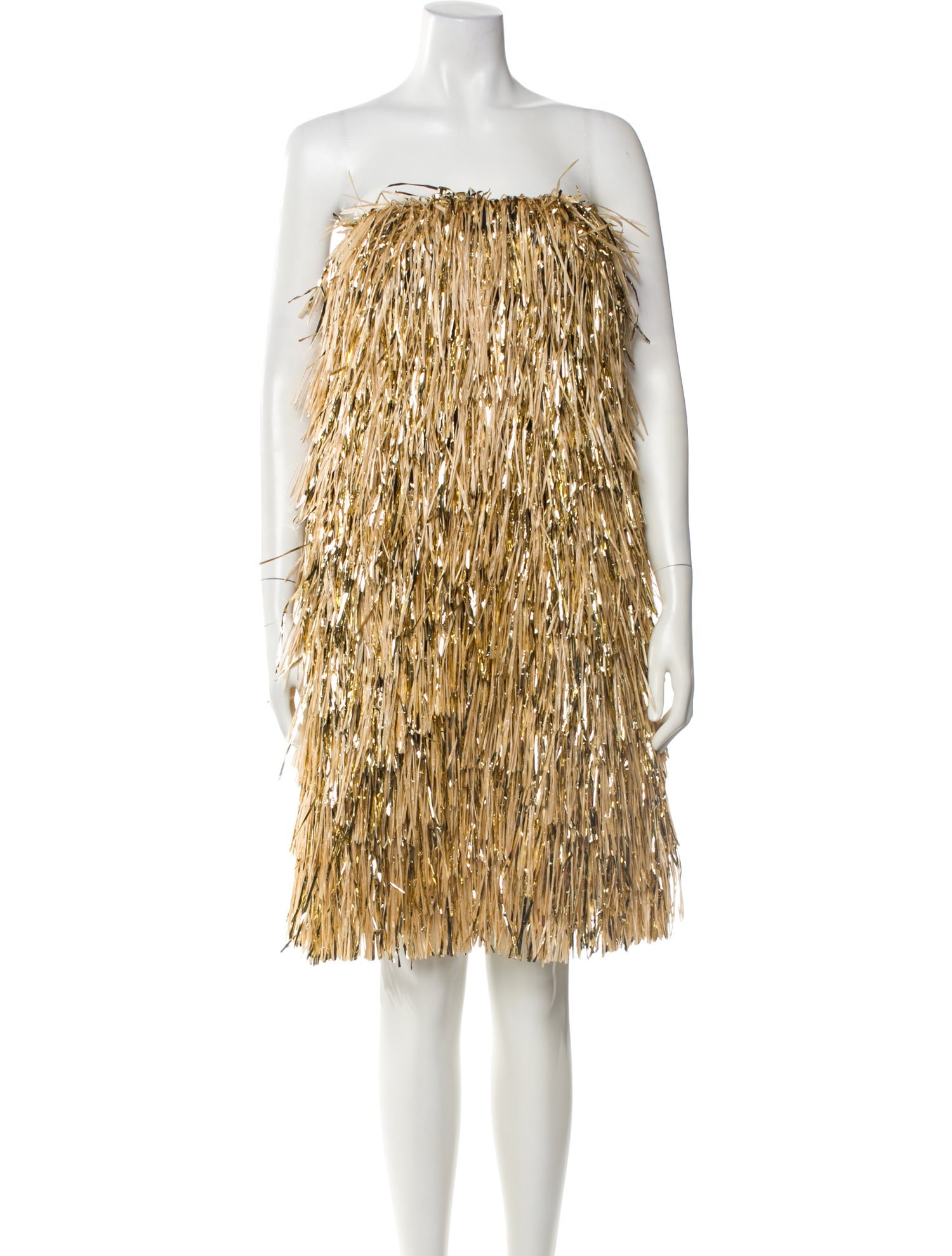 Jason Wu Collection Printed Mini Dress