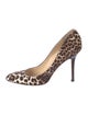 Jimmy Choo Ponyhair Animal Print Pumps