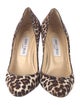 Jimmy Choo Ponyhair Animal Print Pumps