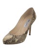 Jimmy Choo Python Animal Print Pumps