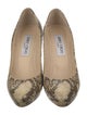 Jimmy Choo Python Animal Print Pumps