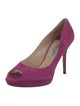 Jimmy Choo Suede Pumps