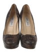 Jimmy Choo Leather Animal Print Pumps